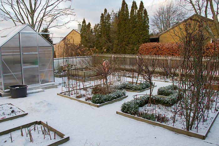 Köksträdgården i snö
