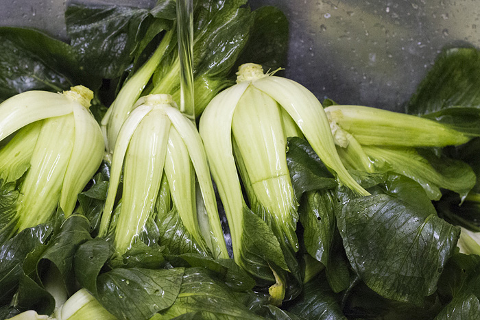 Pak choi-1